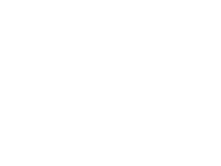 Great Wall Logo